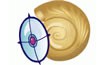 ClamWin Free Antivirus 0.96.2.1